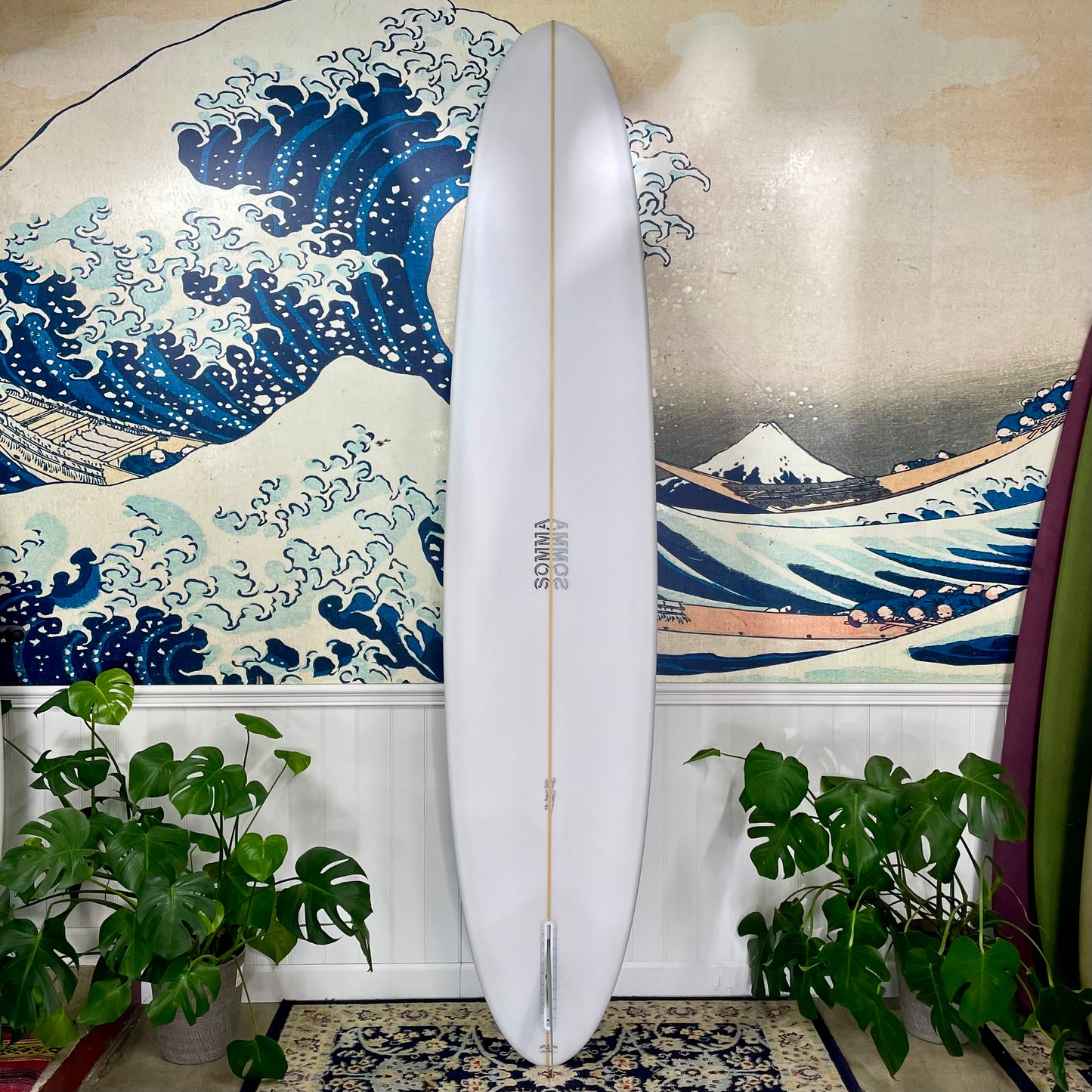 Somma Special | 9’6" Cochon