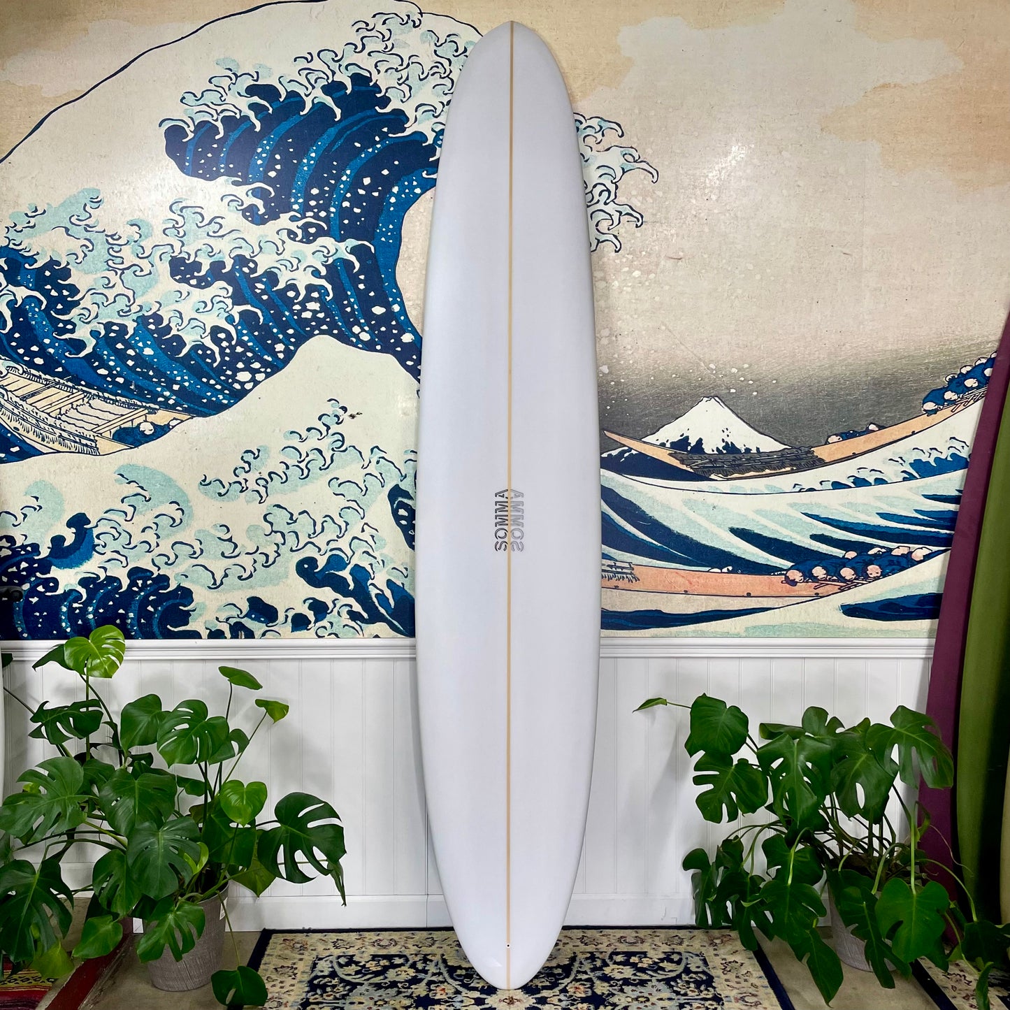 Somma Special | 9’6" Cochon