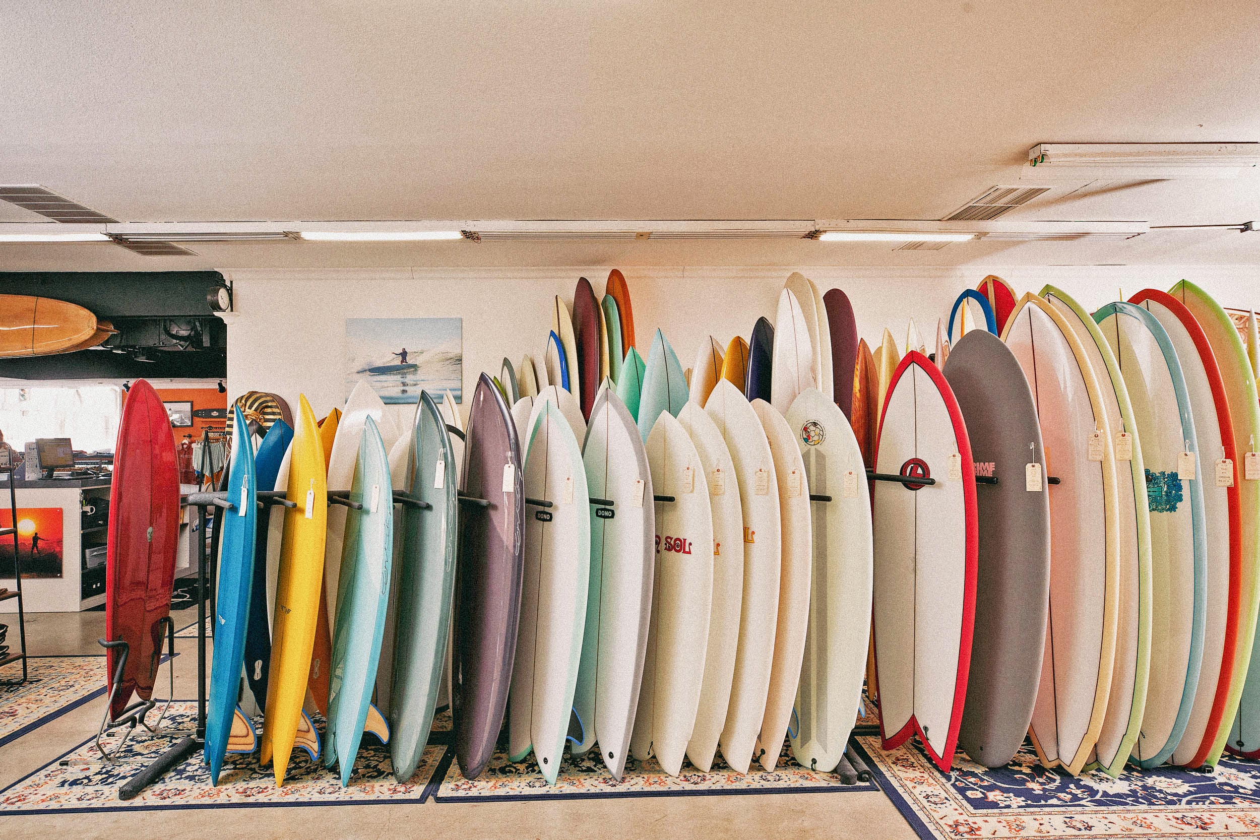 Surf Apparel & Accessories