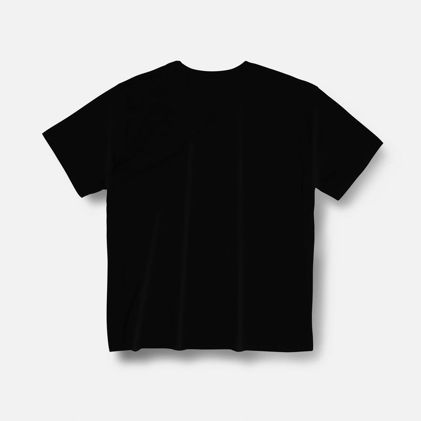 Rivvia Projects | Projecting T Shirt | Black